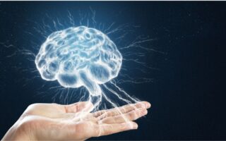 š§  Your Brain vs. the Algorithm: Whoās Really in Control of Your Choices?