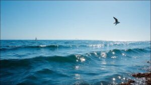 🌀 Blue Ocean Strategy in the Age of AI: Where No Algorithm Has Gone Before