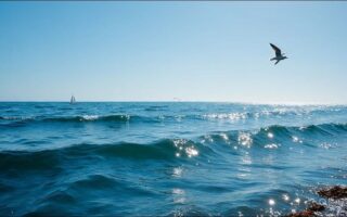 🌀 Blue Ocean Strategy in the Age of AI: Where No Algorithm Has Gone Before