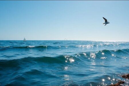 🌀 Blue Ocean Strategy in the Age of AI: Where No Algorithm Has Gone Before