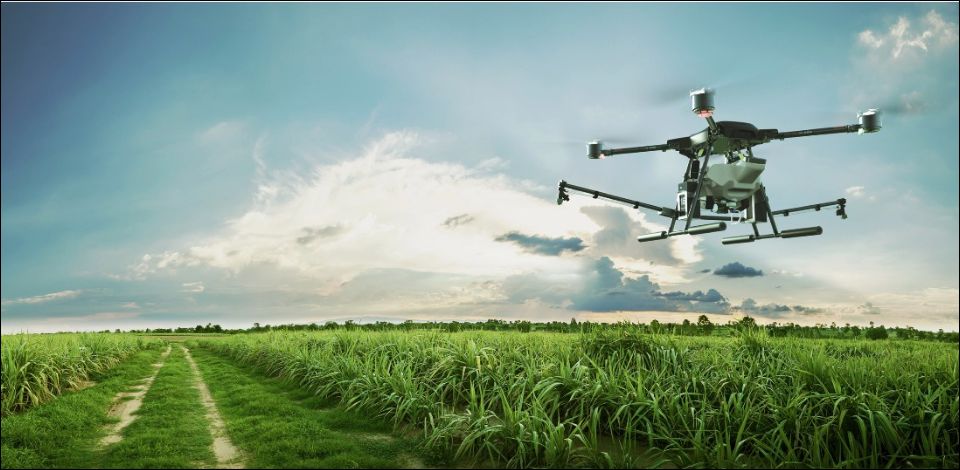Dragon Drone PH - Agricultural drone designed for high precision spraying of crops.