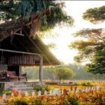 🌱 Simple Life is Happy Life in the Age of AI