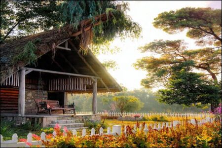 🌱 Simple Life is Happy Life in the Age of AI