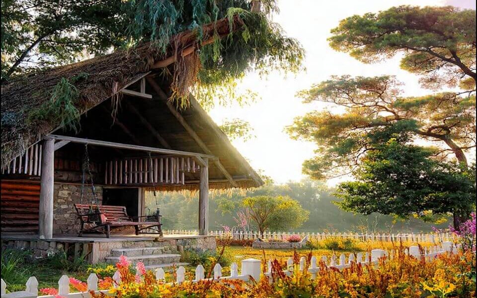 🌱 Simple Life is Happy Life in the Age of AI