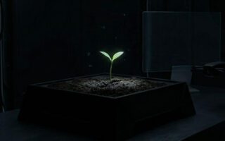 🌑 Germination in the Age of AI: Silence as Strategy