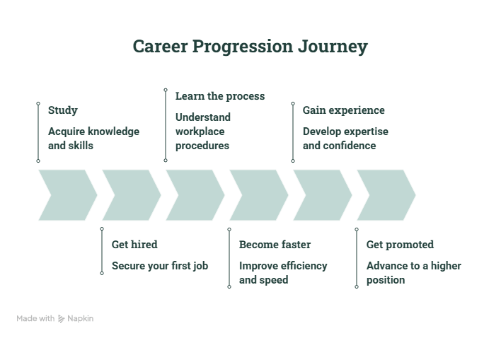 Career Proression Journey y Napkin AI